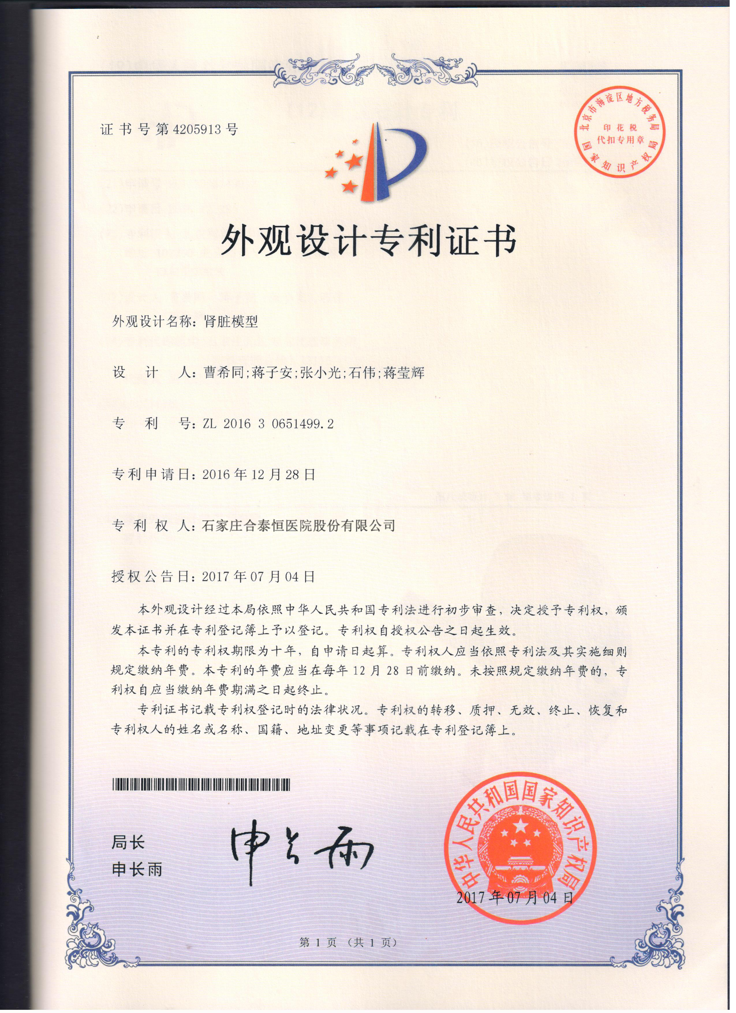 肾脏模型